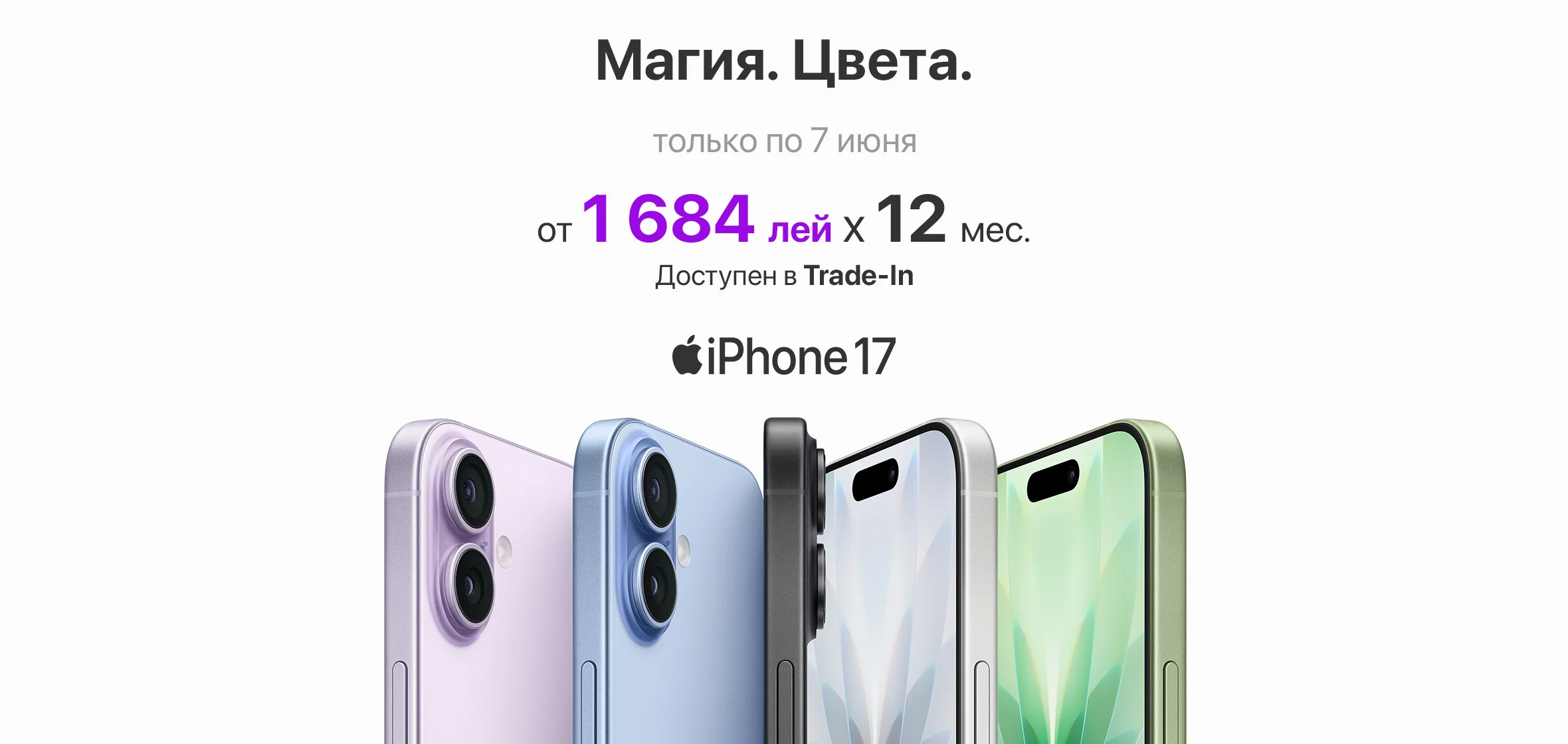 item_7_img